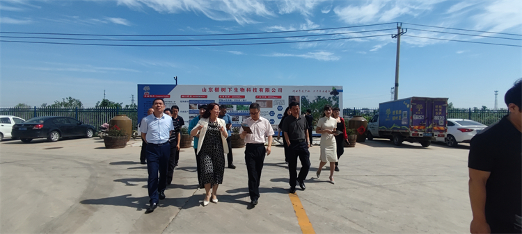 桑葚酒可以放多久？